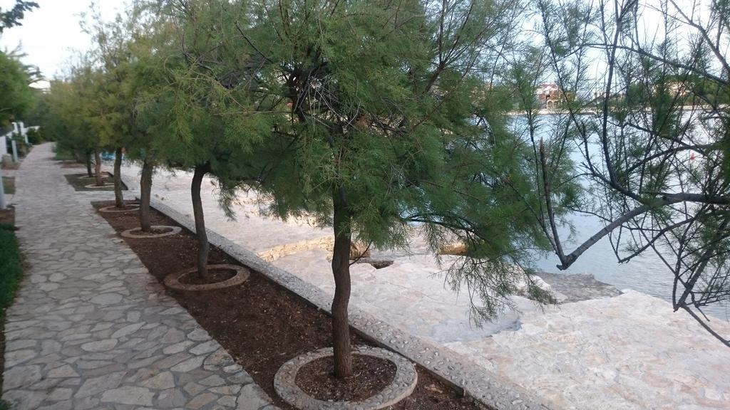 Apartment Kiko Rogoznica  Δωμάτιο φωτογραφία